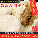 中華まん 6個(3個入り×2) 肉まん ギフト 横浜中華街 横浜 中華街 冷凍 にくまん お取り寄せグルメ 食べ物 グルメ 当店人気 おやつ 点心 中華 そうざ...