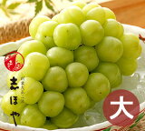 瀬戸ジャイアンツ 特大 1房 約900g 岡山 種なし ぶどう ギフト