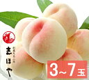 岡山産 水蜜桃 特級 Lサイズ 3玉~7玉 白鳳【出荷時期:7月上旬~7月中旬頃】贈答用 岡山の桃 岡山 白桃 お中元 御中元 ギフト お供 お取り寄せ もも 夏ギフト フルーツ 果物 おかやまの桃 ※沖縄・離島への配送不可