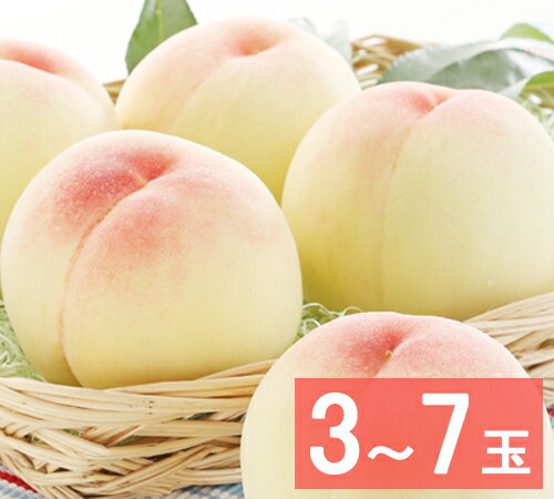 桃 【出荷時期：7月上旬～7月中旬頃】【送料無料】水蜜桃　超特級(2Lサイズ)（3玉～7玉）岡山 白桃 大玉 お中元 御中元 ギフト お供 お取り寄せ もも 夏ギフト フルーツ 果物 おかやまの桃※沖縄・離島への配送不可