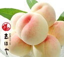 水蜜桃 特級 Lサイズ 8玉 白鳳【出荷時期:7月上旬~7月中旬頃】岡山 白桃 お中元 御中元 ギフト お供 お取り寄せ もも 夏ギフト フルーツ 果物 おかやまの桃 ※沖縄・離島への配送不可