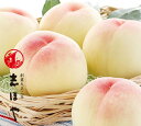水蜜桃 超特級 2Lサイズ 12玉 白鳳【出荷時期:7月上旬~7月中旬頃】岡山 白桃 お中元 御中元 ギフト お供 お取り寄せ もも 夏ギフト フルーツ 果物 おかやまの桃 ※沖縄・離島への配送不可
