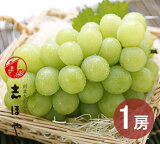 マスカット オブ アレキサンドリア 1房 500g (9月21日〜10月中旬出荷分) 岡山 ぶどう ギフト