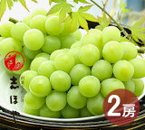 マスカット オブ アレキサンドリア 2房 1kg (9月21日〜10月中旬出荷分) 岡山 ぶどう ギフト