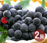 ピオーネ 2房 1kg (9月2日〜9月20日出荷分) 岡山 ぶどう 種なし ニューピオーネ ギフト