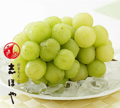 志ほや楽天市場店 桃太郎ぶどう 大房 1房 約700g 8月上旬 8月日出荷分 岡山 種なし ぶどう ギフト 志ほや楽天市場店 桃太郎ぶどう 大房 1房 約700g 8月上旬 8月日出荷分 岡山 種なし ぶどう ギフト