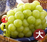 桃太郎ぶどう 特大 1房 約900g (8月21日〜9月10日出荷分) 岡山 種なし ぶどう ギフト