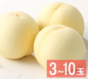 白皇 超特級 2Lサイズ 3〜10玉【出荷時期:8月15日〜8月下旬頃】岡山 白桃 ギフト お供 お取り寄せ もも 夏ギフト フルーツ 果物 おかやまの桃 ※沖...