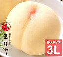 清水白桃 ≪特大3Lサイズ≫3玉【出荷時期:7月中旬~7月下旬頃】岡山 白桃 お中元 御中元 ギフト お供 お取り寄せ もも 夏ギフト フルーツ 果物 おかやまの桃※沖縄・離島への配送不可