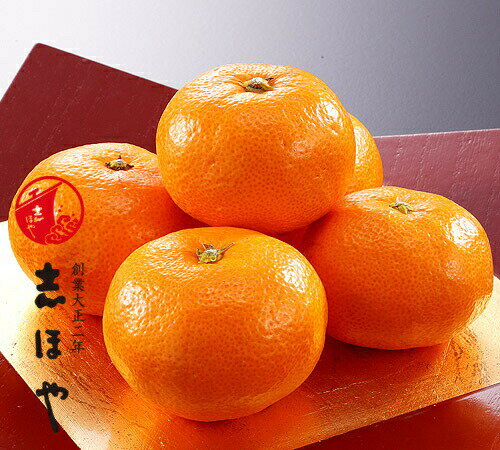 志ほやの画像3
