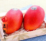 完熟マンゴー (太陽のタマゴ) 2Lサイズ お祝 内祝 お返し お取り寄せ お中元 ギフト