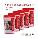 干し椎茸 国産 大分県産 ギフト 「山の幸 どんこ 100g×5袋 セット」 家庭用 どんこ 大分県産 原木乾しいたけ 原木栽培 乾しいたけ 干ししいたけ 乾物...