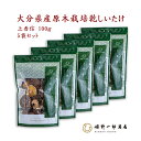 干し椎茸 国産 ギフト 「山の幸 上香信 100g× 5袋 セット 」 香信 大分県産 原木乾しいたけ 原木栽培 乾しいたけ 干ししいたけ しいたけ 乾物 家庭用 上質 天然だし 出汁 産地直送 プレゼント 贈り物 手土産 shiitake 姫野一郎商店