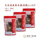 干し椎茸 国産 大分県産 「山の幸 どんこ 100g × 3袋 セット 」 ギフト どんこ 大分県産 原木乾しいたけ 原木栽培 乾しいたけ 干ししいたけ 乾物 上質 天然だし 出汁 産地直送 プレゼント 贈り物 手土産 姫野一郎商店