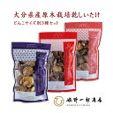 マルコ物産 大分産 原木椎茸 乾燥 40g