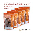 干し椎茸 国産 大分県産 「山の幸 徳用厚肉 110g × 5袋 セット」 ギフト どんこ 訳あり お徳用 大分県産 原木乾しいたけ 原木栽培 乾しいたけ 干し...