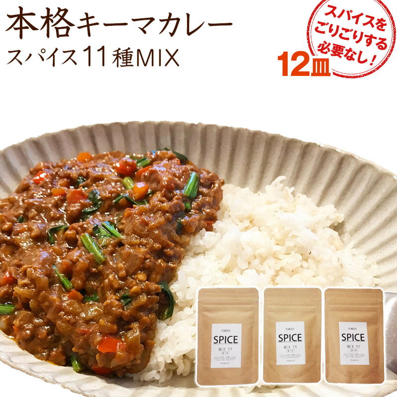 1000円 ポッキリ 送料無料 俺のキーマカレー スパイス