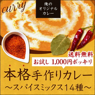 【送料無料】レシピ付き　俺のオリジナルカレースパイスミックスセット14種（12皿分)　お試し　1000円ぽっきり　初心者でも簡単 本格手作り