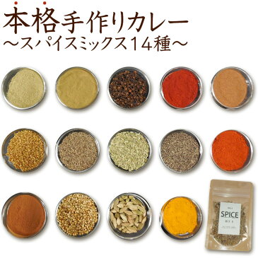 【送料無料】レシピ付き　俺のオリジナルカレースパイスミックスセット14種（12皿分)　お試し　1000円ぽっきり　初心者でも簡単 本格手作り