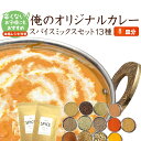 1000円 ポッキリ 送料無料 辛くない!粉スパイスミックス13種 お試し 本格手作りカレー レシピ付き お試しセット 子供用 俺のオリジナルカレースパイスミッ...