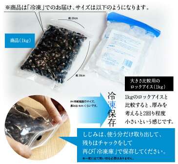 【ふるさと納税でも大人気】宍道湖　冷凍しじみ Mサイズ 2kg（2キロ）♪日本有数の漁獲量を誇る島根県・宍道湖産砂抜き冷凍しじみ（シジミ）Mサイズ2kg【送料無料】【国産】【敬老の日】【残暑見舞い】【冷凍】【味噌汁】【美肌】