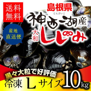 神西湖しじみLサイズ10kg