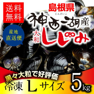 人気急上昇超特価 神西湖 しじみ Lサイズ5kg 1kg 5袋 十三湖 5キロ 島根県を代表するもう一つのしじみ産地 貝類 神西湖の砂抜き冷凍 しじみ シジミ Lサイズ5kg 送料無料 しじみ味噌汁 しじみ 冷凍 冷凍シジミ Smtb T しじみ屋かわむら島根県