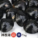 【送料無料】 神西湖 砂抜き済 冷凍しじみ Mサイズ 1kg(1kg×1袋、1キロ)高評価レビュー500件突破!!島根県・神西湖の砂抜き冷凍しじみ(シジミ)【国...