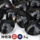 【送料無料】 神西湖 砂抜き済 冷凍しじみ Mサイズ 3kg(1kg×3袋、3キロ)島根県を代表するもう一つのしじみ産地、神西湖の砂抜き冷凍しじみ(シジミ)【国...
