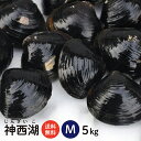 【送料無料】 神西湖 砂抜き済 冷凍しじみ Mサイズ 5kg(1kg×5袋、5キロ)島根県を代表するもう一つのしじみ産地、神西湖の砂抜き冷凍しじみ(シジミ)【国...