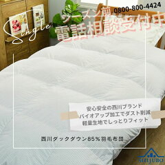 https://thumbnail.image.rakuten.co.jp/@0_mall/shijubo/cabinet/kakefuton/cva0271786one.jpg