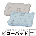 Jo[ 63~43  Xk[s[ s[pbh63~43cm PN4601BD 24ss Ђ ⊴^Cv \S SNOOPY `[[uE [V[ T[ CiX x[W u[ PEANUTS s[ibc