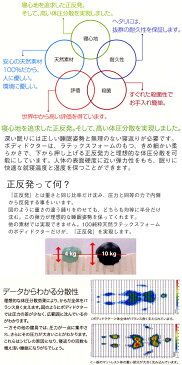 マット 敷き布団 【ボディドクター】 マットレス シングル レギュラー 195×97×11cm 正反発 100％天然ラテックス 寝心地 体圧分散 耐久性 保証 天然素材 世界 殺菌 肩こり 腰痛 zz