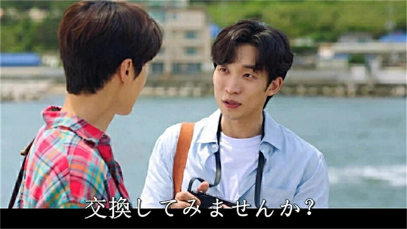 韓国ドラマ 韓国語 「海街チャチャチャ」 シン・ミナ/キム・ソンホ 10枚組 DVD ボ...