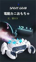 全店商品5%ポイントバック 電動 カニ おもちゃ 自律 霧作り 光 ギフト 人気 ライト音楽 誕生日プレゼント クリスマス プレゼント 出産祝い 入園祝い