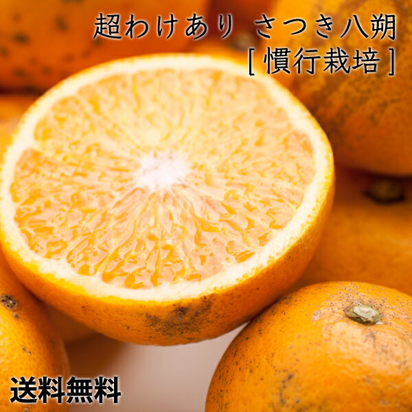 超わけあり さつき八朔10kg 慣行栽培　和歌山の農家から直送　ご家庭用【送料無料】のサムネイル