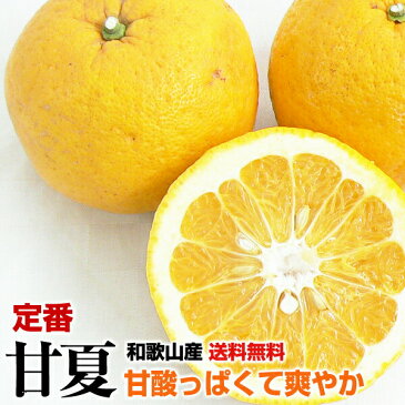 定番甘夏10kg　　　　　　　　　　　　　　　　　【特別栽培認証取得】【減農薬栽培・低農薬栽培】【送料無料】【訳あり】【smtb-k】【w1】