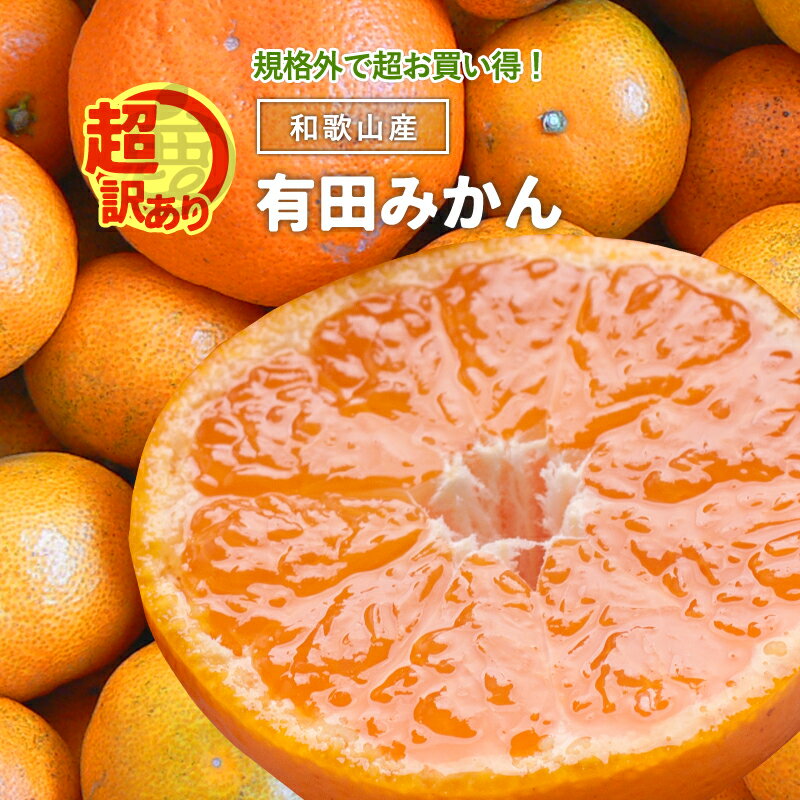 【超 訳あり ！数量限定】 有田 み