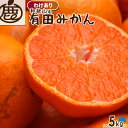 [わけあり] 有田みかん 5kg 【 送料無料 訳あり 温州みかん KS 有田 みかん ミカン 家庭用 】