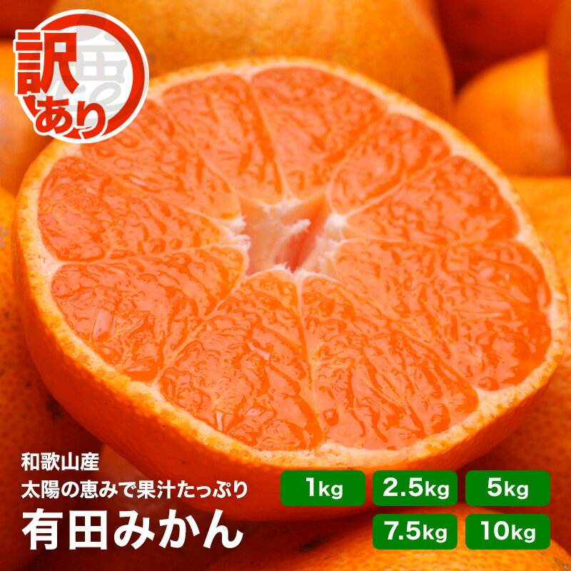 【完熟発送中!】 訳あり 有田 みかん 和歌山産 1kg〜10kg 送料無料 家庭用 温州みかん 産地直送
