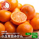 【予約】 小玉 有田みかん 訳あり 和歌山 送料無料 2S 3S 4S サイズ わけあり 極早生 完熟 1kg 2.5kg 5kg 温州みかん 濃厚 甘い 小玉みかん 小粒 みかん ミカン 家庭用 お取り寄せ 産地直送