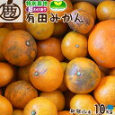 [特別栽培｜超わけあり] 有田みかん 10kg 【 減農薬栽培 有機肥料100% 訳あり 送料無料 ロットA 早生 温州みかん みかん ミカン 家庭用 大容量 】