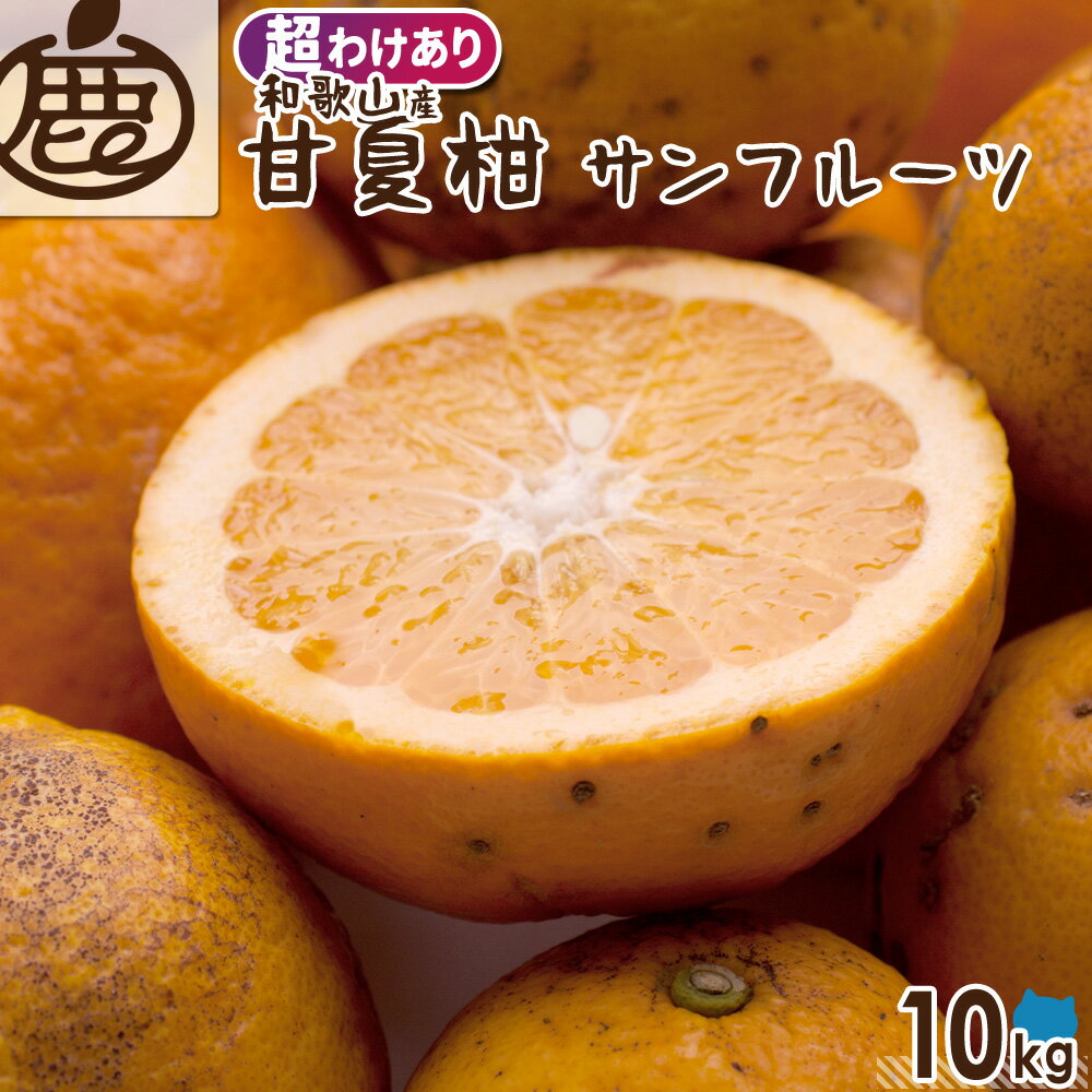 [超わけあり] 甘夏柑 10kg 【 送料無料 KS ロットA 訳あり お得 甘夏 あまなつ 甘夏みかん 夏みかん サンフルーツ 産地直送 和歌山 柑橘 】