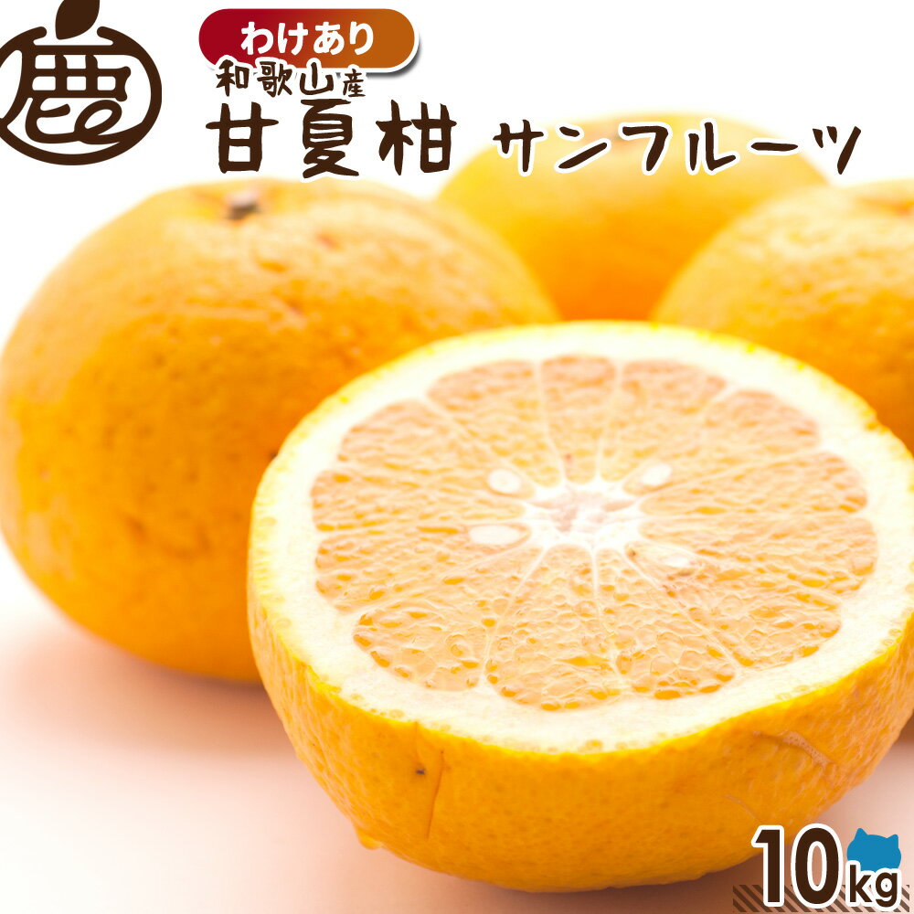 わけあり 甘夏柑 10kg 【 送料無料 KS 訳あり お得 甘夏 あまなつ 甘夏みかん 夏みかん サンフルーツ 産地直送 和歌山 柑橘 】