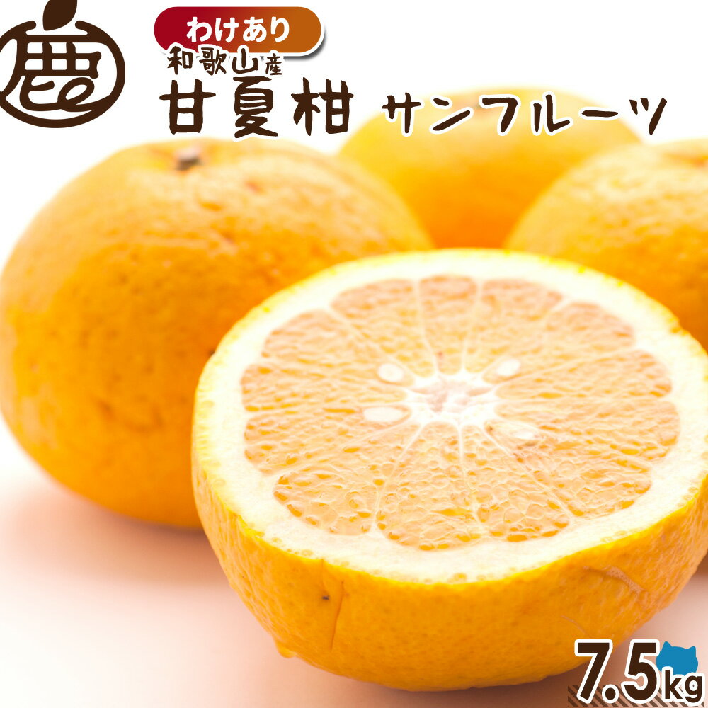 [わけあり] 甘夏柑 7.5kg 【 送料無料 KS 訳あり お得 甘夏 あまなつ 甘夏みかん 夏みかん サンフルーツ 産地直送 和…