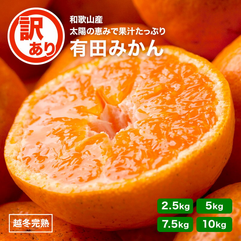 発送開始！訳あり 有田みかん ゆら早生 5kg 極早生 【 ゆら早生みかん YN26 送料無料 わけあり 温州みかん KS 和歌山 有田 みかん ミカン ゆらら 】のサムネイル