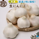 【予約】 特選 生にんにく 1.5kg 発送予定5月上旬頃〜【 送料無料 KS にんにく ニンニク 国産 紀州 和歌山 農家直送 醤油漬け 料理 レシピ ガーリ...