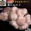 ★15日限定!全品ポイント5倍!★ わけあり 生にんにく 1.5kg 【 送料無料 KS 訳あり サイズ混合 にんにく ニンニク 国産 紀州 和歌山 農家直送 ...