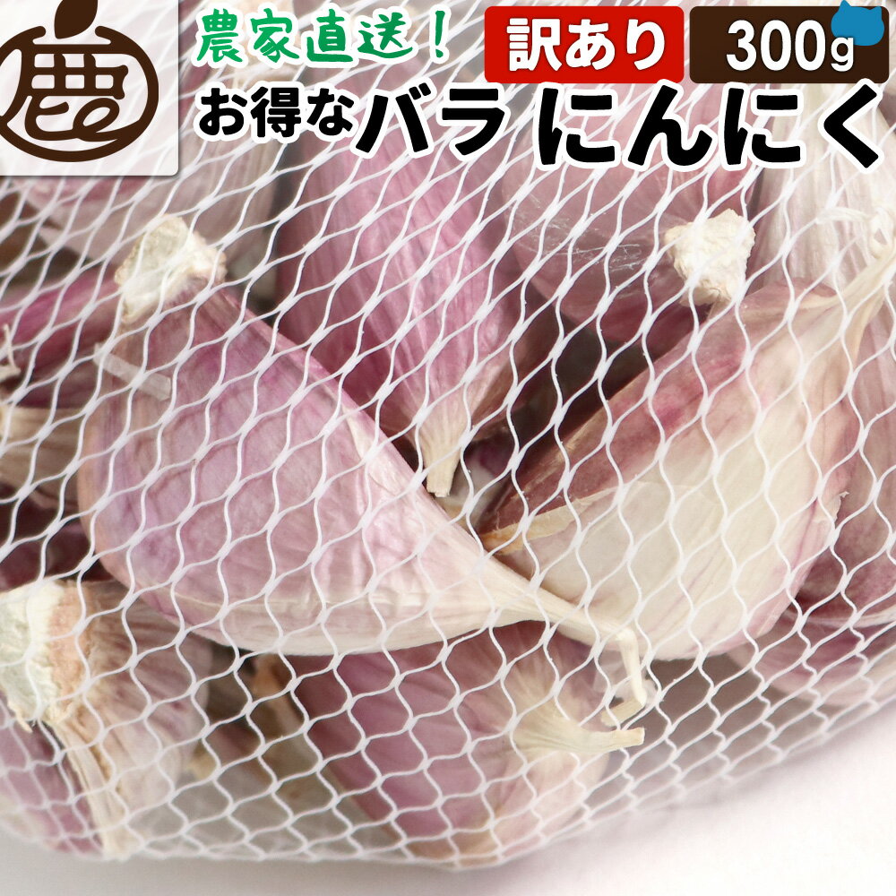 [櫓] ˤˤ Х ʬ 300g  1000ߥݥå ̵ KS   ݥȡ 椦ѥåȯ ...