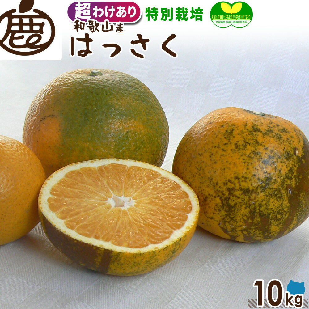 [特別栽培｜超わけあり] はっさく 10kg 【 減農薬栽培 有機肥料100% 送料無料 訳あり 超訳あり 八朔 ハッサク ロットA KS 超お買い得 お得 加工用 国産 柑橘 和歌山 フルーツ みかん ミカン 果物 産地直送 大容量 】